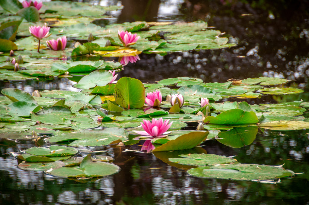 casa de Monet em Giverny